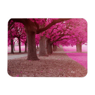 Imán Parque de fantasías rosadas
