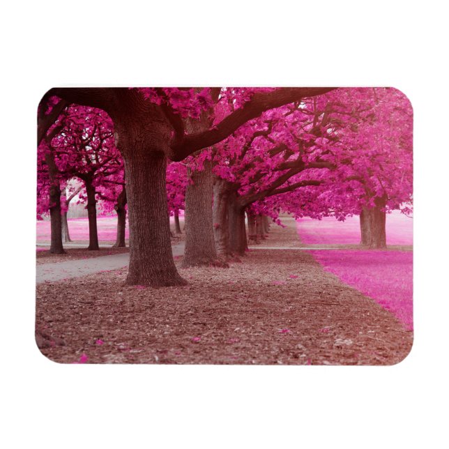 Imán Parque de fantasías rosadas (Horizontal)