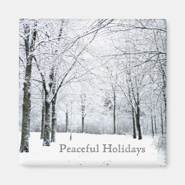 Imán Parque de invierno (Frente)