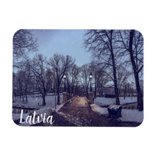 Imán Parque de la ciudad nevada de invierno por la noch