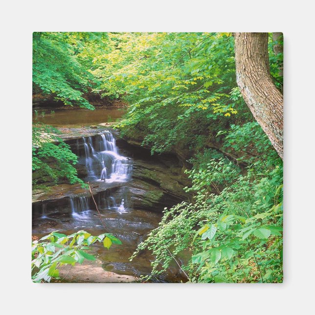 Imán Parque de la Roca Hambrienta, Illinois (Frente)