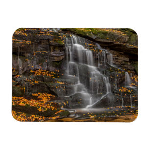Imán Parque Estatal Blackwater Falls