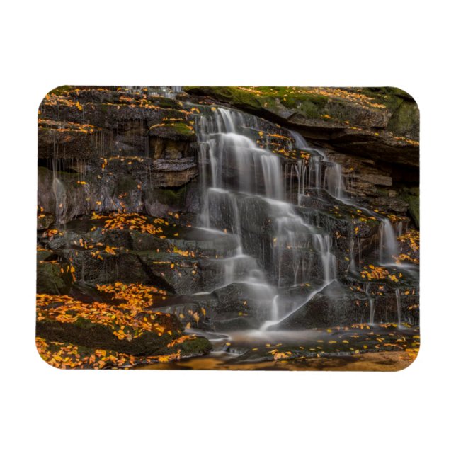 Imán Parque Estatal Blackwater Falls (Horizontal)