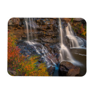 Imán Parque Estatal Blackwater Falls   Virginia Occiden