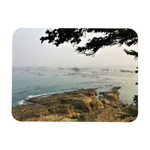 Imán Parque Estatal Cape Arago, Costa de Oregón