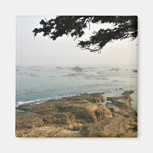 Imán Parque Estatal Cape Arago, Costa de Oregón (Frente)