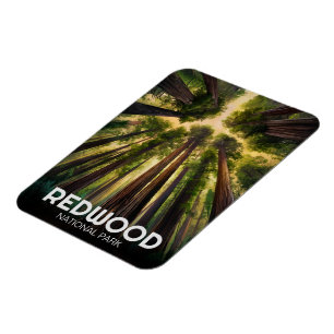 Imán Parque estatal de secuoya, Coastal California