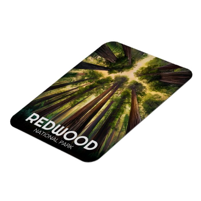 Imán Parque estatal de secuoya, Coastal California (Lado Izquierdo)
