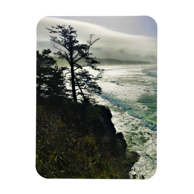 Imán Parque Estatal Devil's Punchbowl, Newport, Oregón (Vertical)