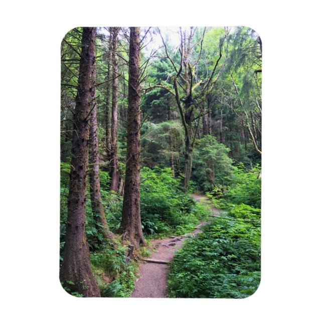 Imán Parque Estatal Ecola, Playa Cannon, Oregón (Vertical)