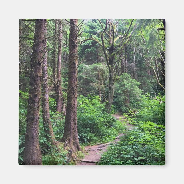 Imán Parque Estatal Ecola, Playa Cannon, Oregón (Frente)