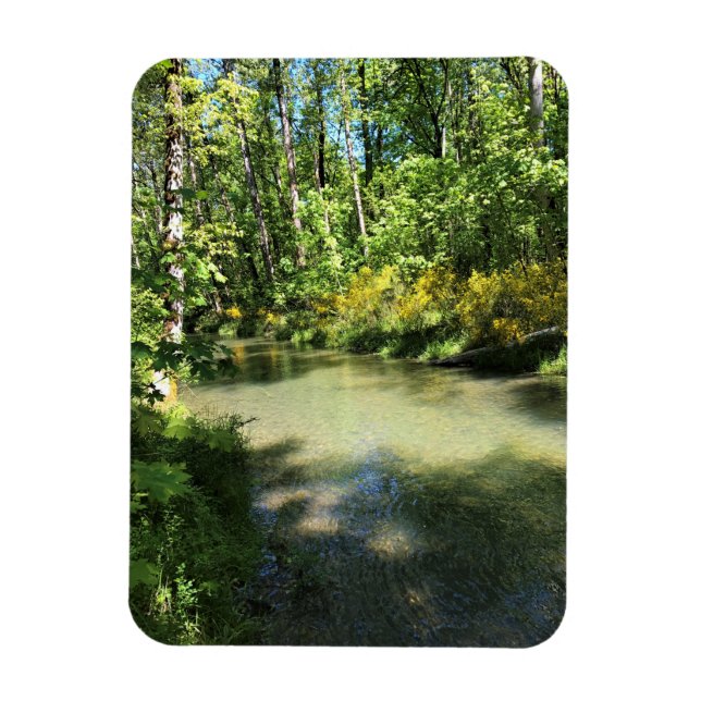 Imán Parque Estatal Elijah Bristow, Dexter, Oregón (Vertical)