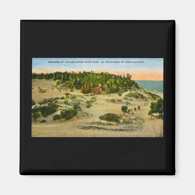Imán Parque estatal Indiana Dunes Lake Michigan, Indian (Frente)