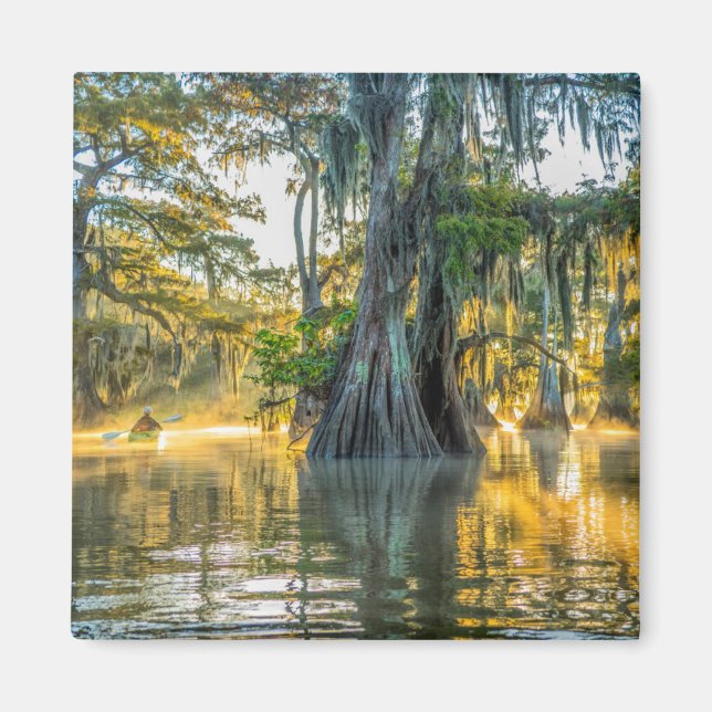 Imán Parque estatal Lake Fausse Pointe (Frente)