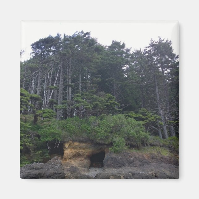 Imán Parque Estatal Neptune, OR (Frente)