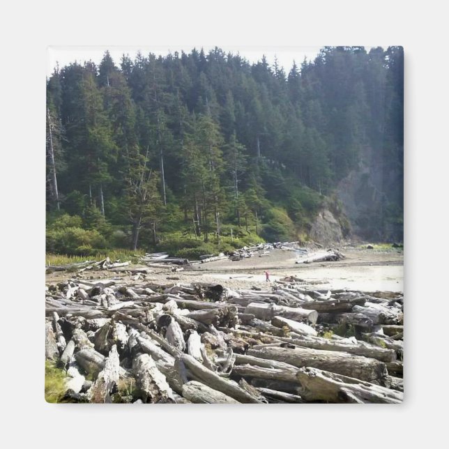 Imán Parque Estatal Oswald West, Costa de Oregón (Frente)