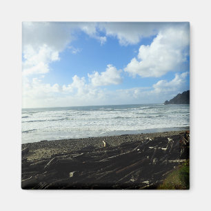 Imán Parque Estatal Oswald West, Costa de Oregón