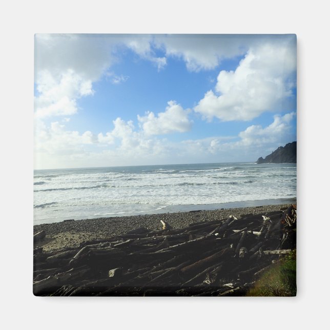 Imán Parque Estatal Oswald West, Costa de Oregón (Frente)