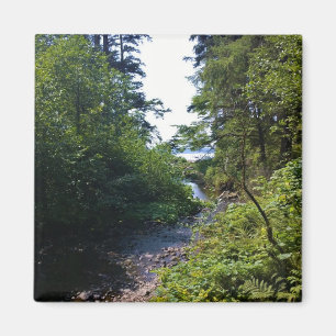 Imán Parque Estatal Oswald West, Costa de Oregón