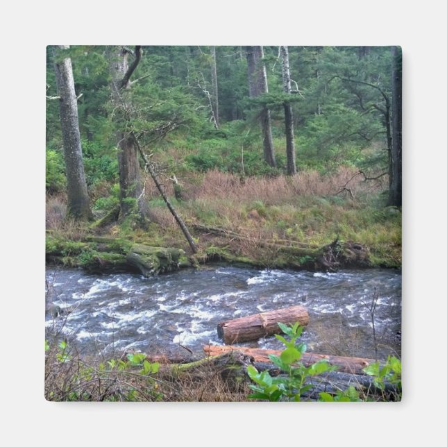 Imán Parque Estatal Oswald West, Costa de Oregón (Frente)