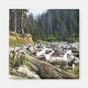 Imán Parque Estatal Oswald West, Costa de Oregón