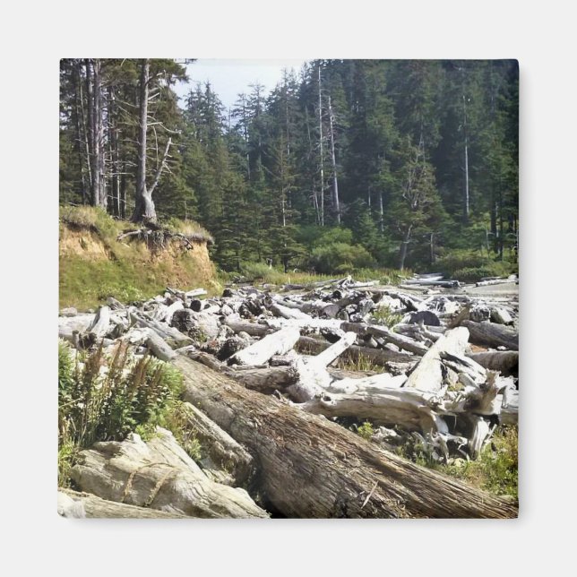 Imán Parque Estatal Oswald West, Costa de Oregón (Frente)