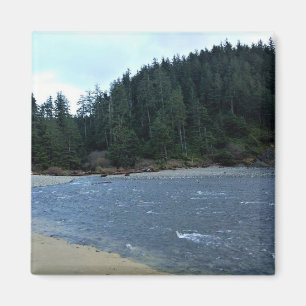 Imán Parque Estatal Oswald West, Costa de Oregón