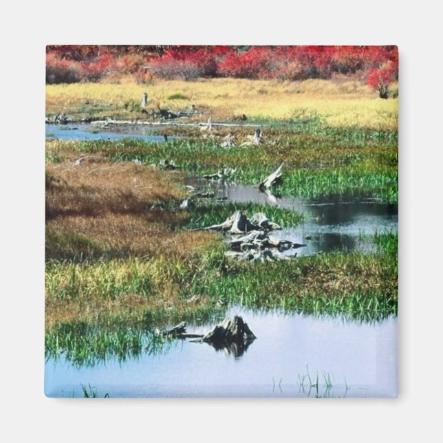 Imán Parque estatal Ricketts Glen, PA (Frente)