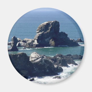 Imán Parque Estatal Seal Rock Ecola Oregon Coast Magnet
