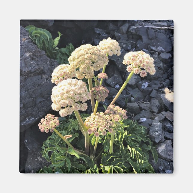 Imán Parque Estatal Sisters Rock, Costa de Oregón (Frente)