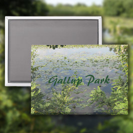 Imán Parque Gallup En Ann Arbor