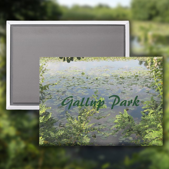 Imán Parque Gallup En Ann Arbor (Subido por el creador)