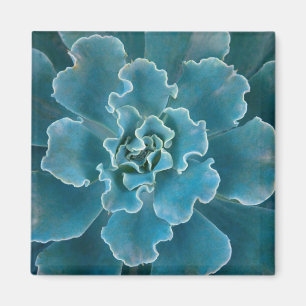 Imán Parque Golden Gate de San Francisco California y