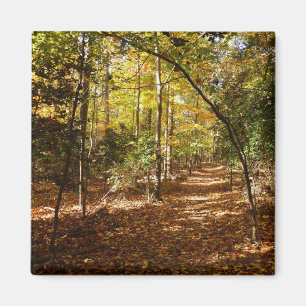 Imán Parque Greenbelt en otoño I Paisaje de Maryland