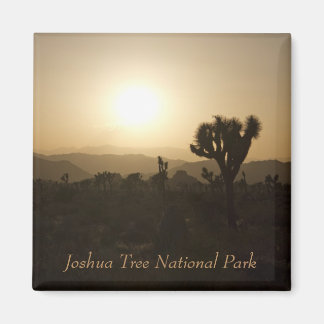 Imán Parque nacional Árbol de Joshua