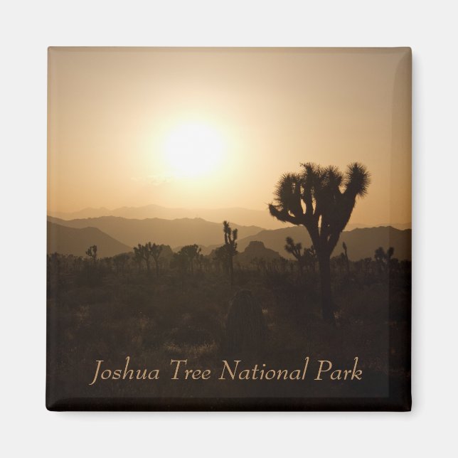 Imán Parque nacional Árbol de Joshua (Frente)