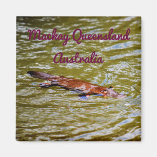 IMÁN PARQUE NACIONAL AUSTRALIA DE PLATYPUS EUNGELLA