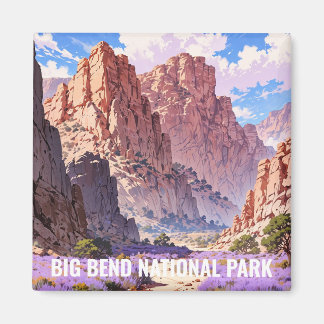 Imán Parque Nacional Big Bend
