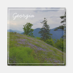 Imán Parque nacional Borjomi-Kharagauli Georgia Caucuse