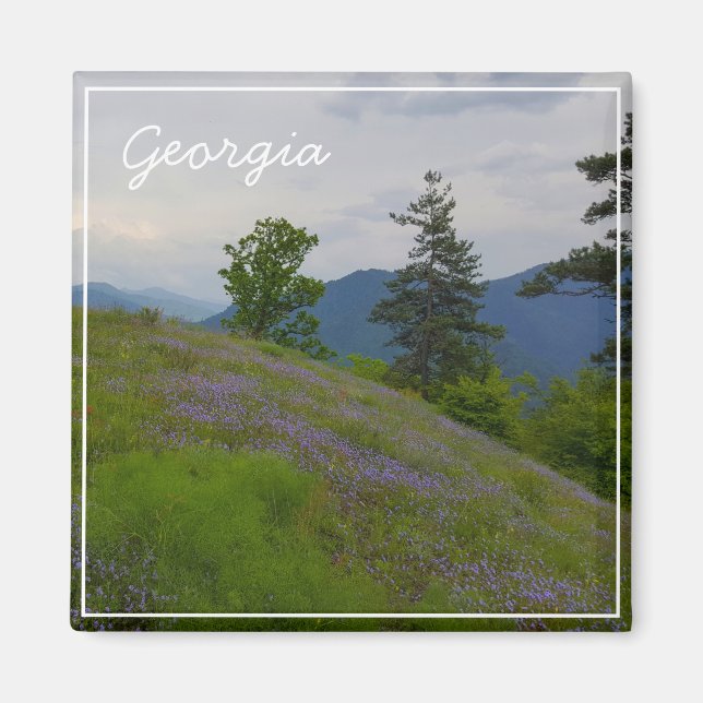 Imán Parque nacional Borjomi-Kharagauli Georgia Caucuse (Frente)