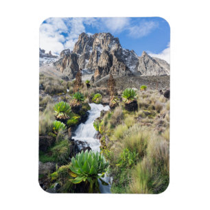 Imán Parque Nacional Central del Monte Kenya