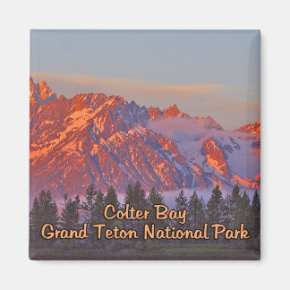Imán Parque nacional Colter Bay Grand Teton