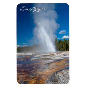 Imán Parque nacional Daisy Geyser Erupting Yellowstone