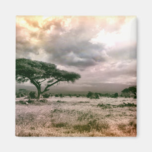 Imán Parque nacional de la sabana de Sáhara Serengeti