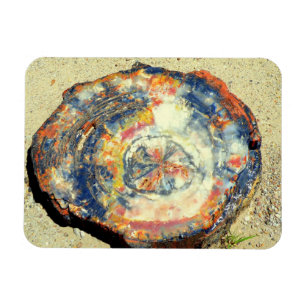 Imán Parque nacional de los bosques petrolíferos