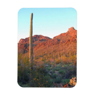 Imán Parque nacional de Saguaro