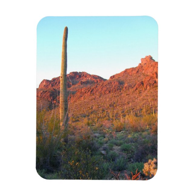 Imán Parque nacional de Saguaro (Vertical)