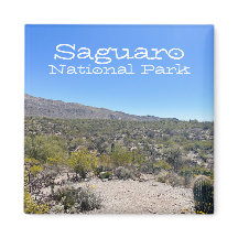 Parque nacional de Saguaro