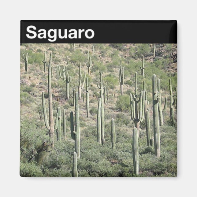 Imán Parque nacional de Saguaro (Frente)