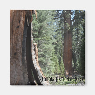 Imán Parque nacional de secoya de general Sherman Tree-